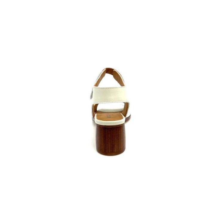  leder
