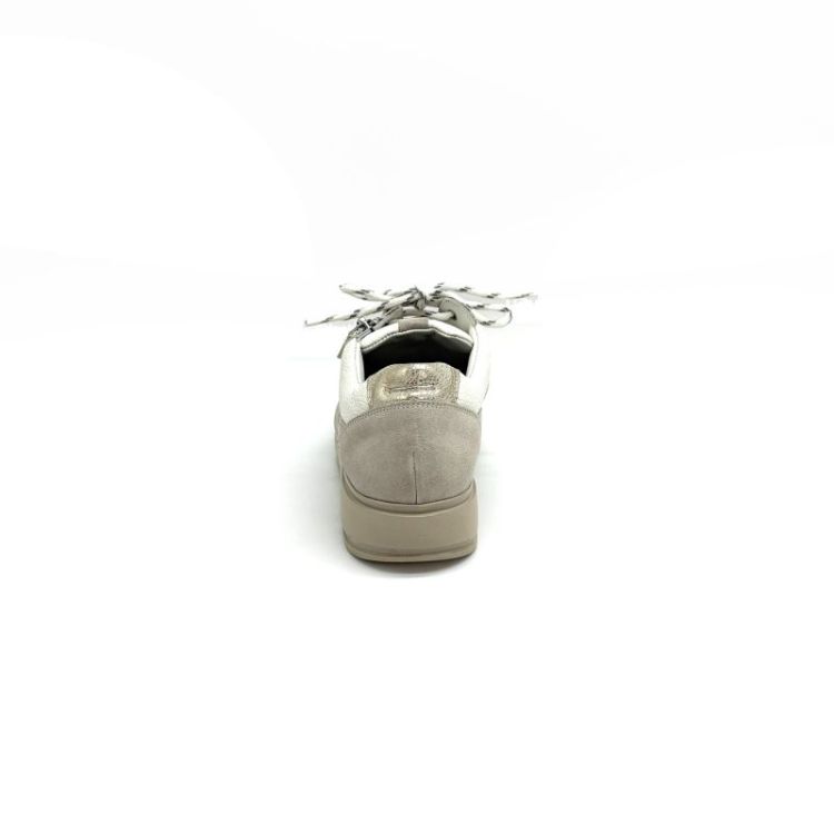  leder 